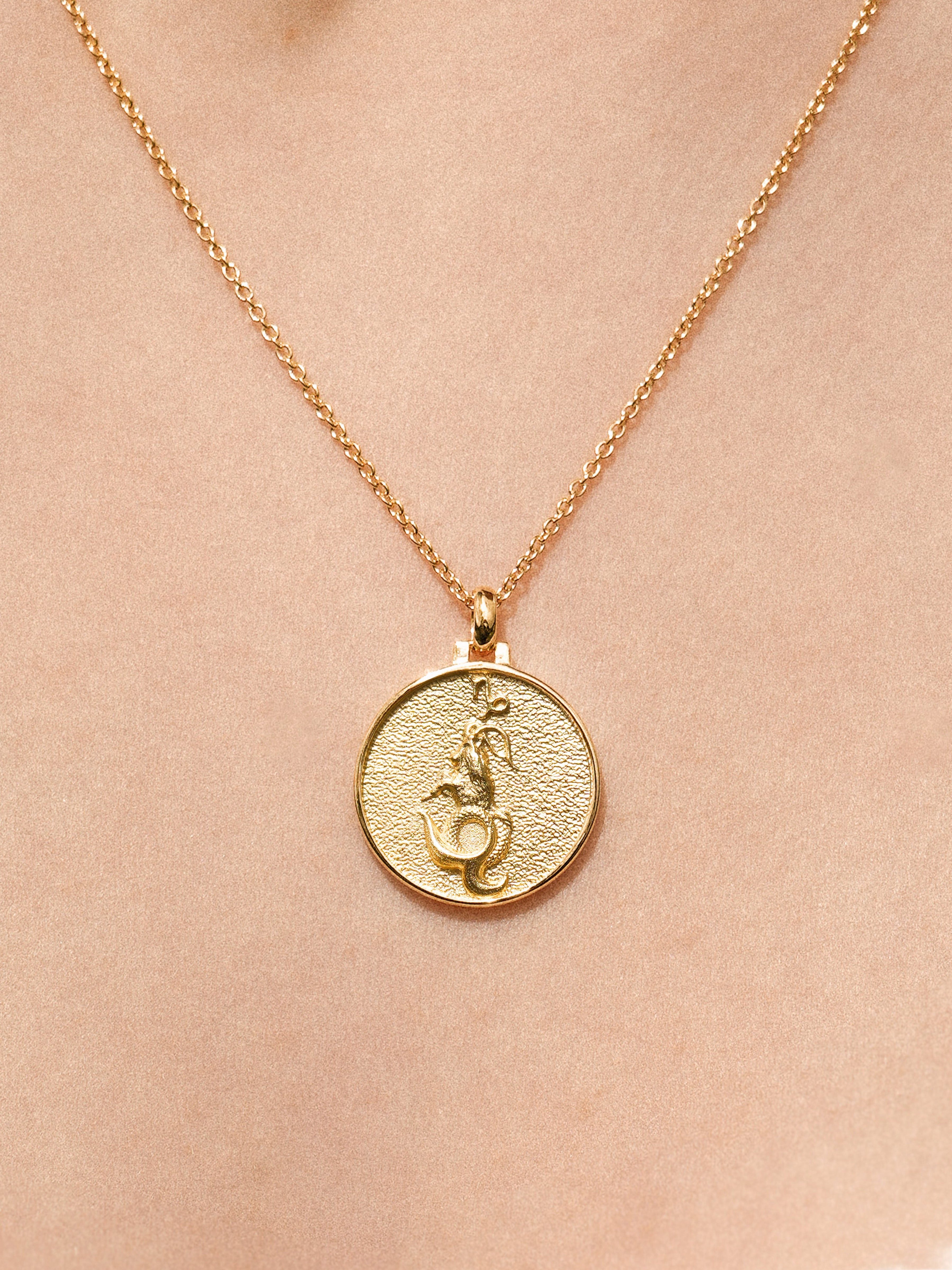 Capricorn - Necklace - Vermeil