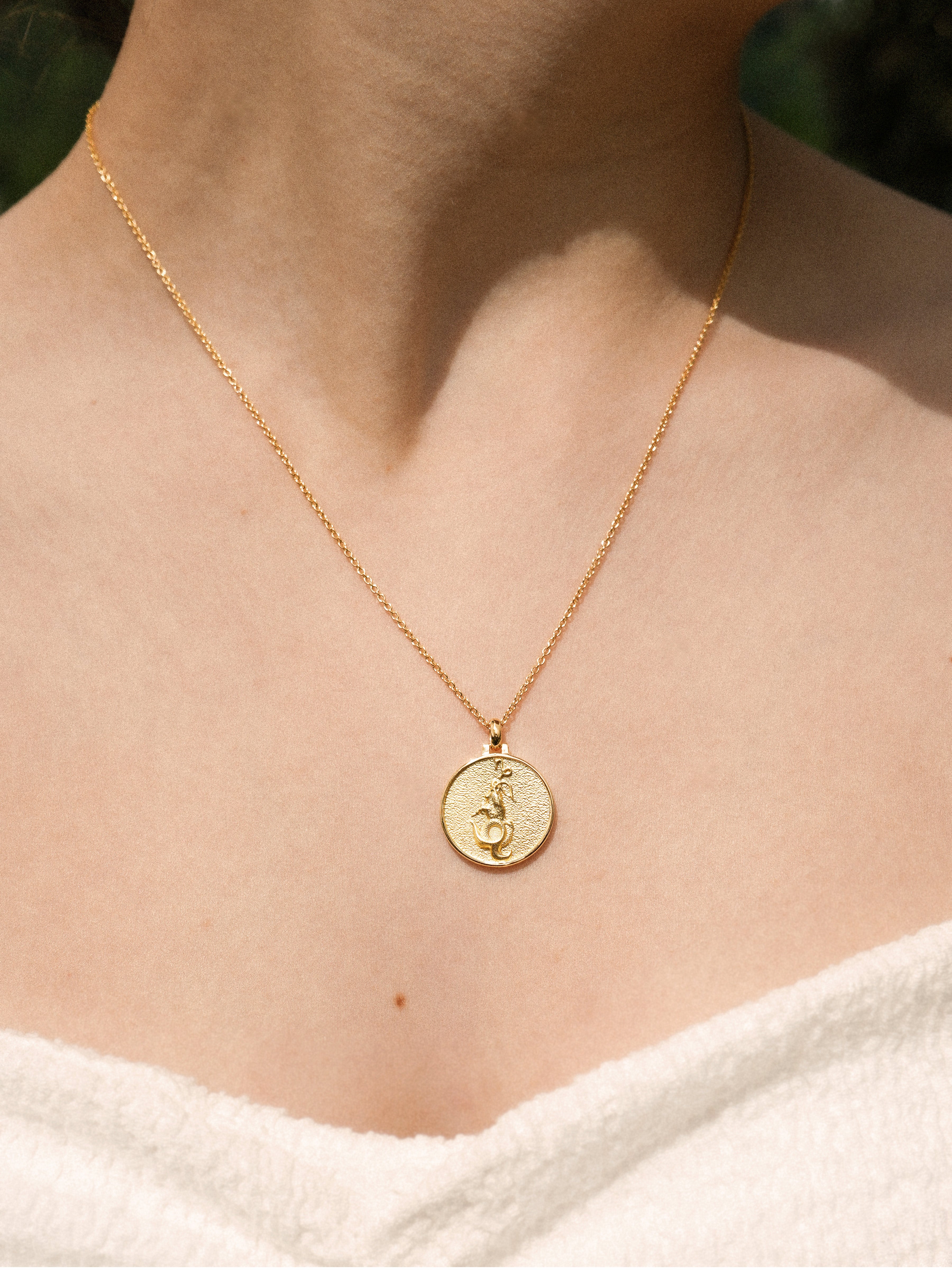Capricorn - Necklace - Vermeil