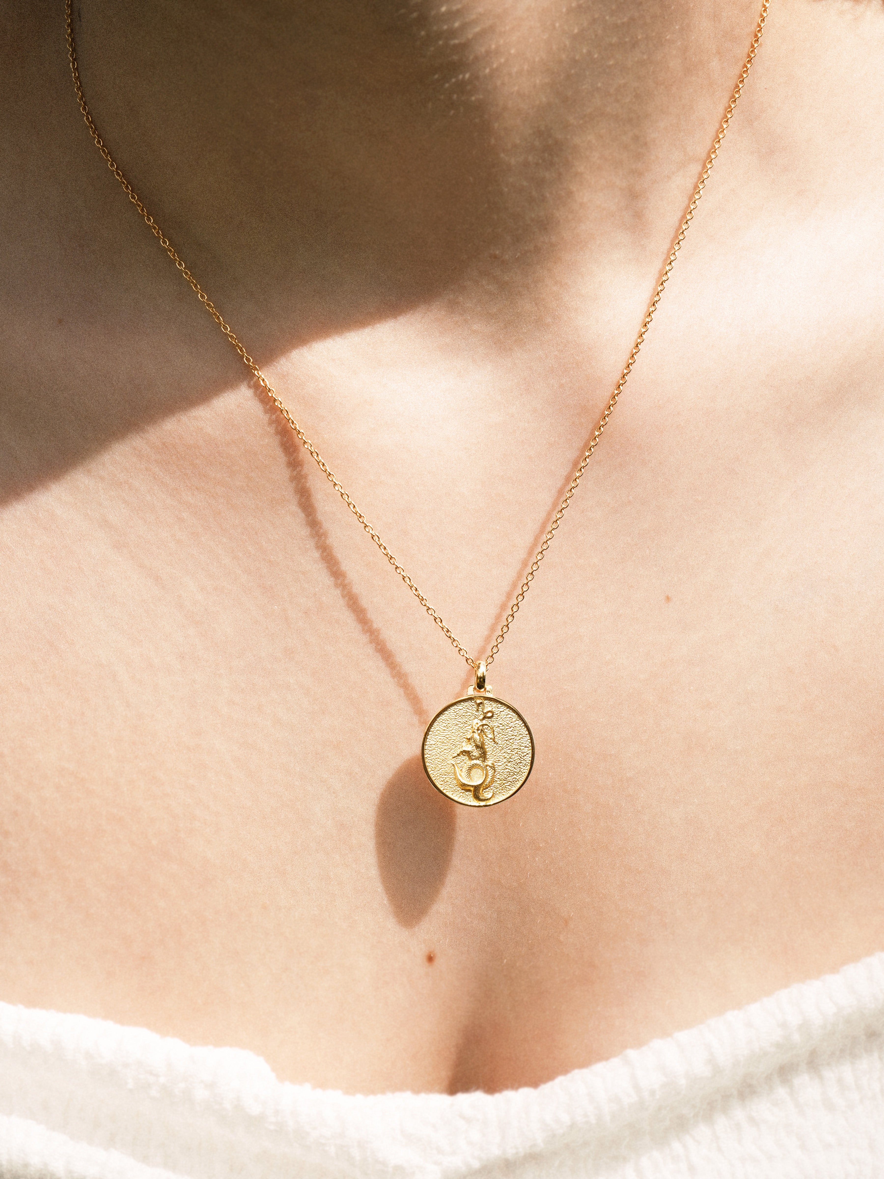 Capricorn - Necklace - Vermeil
