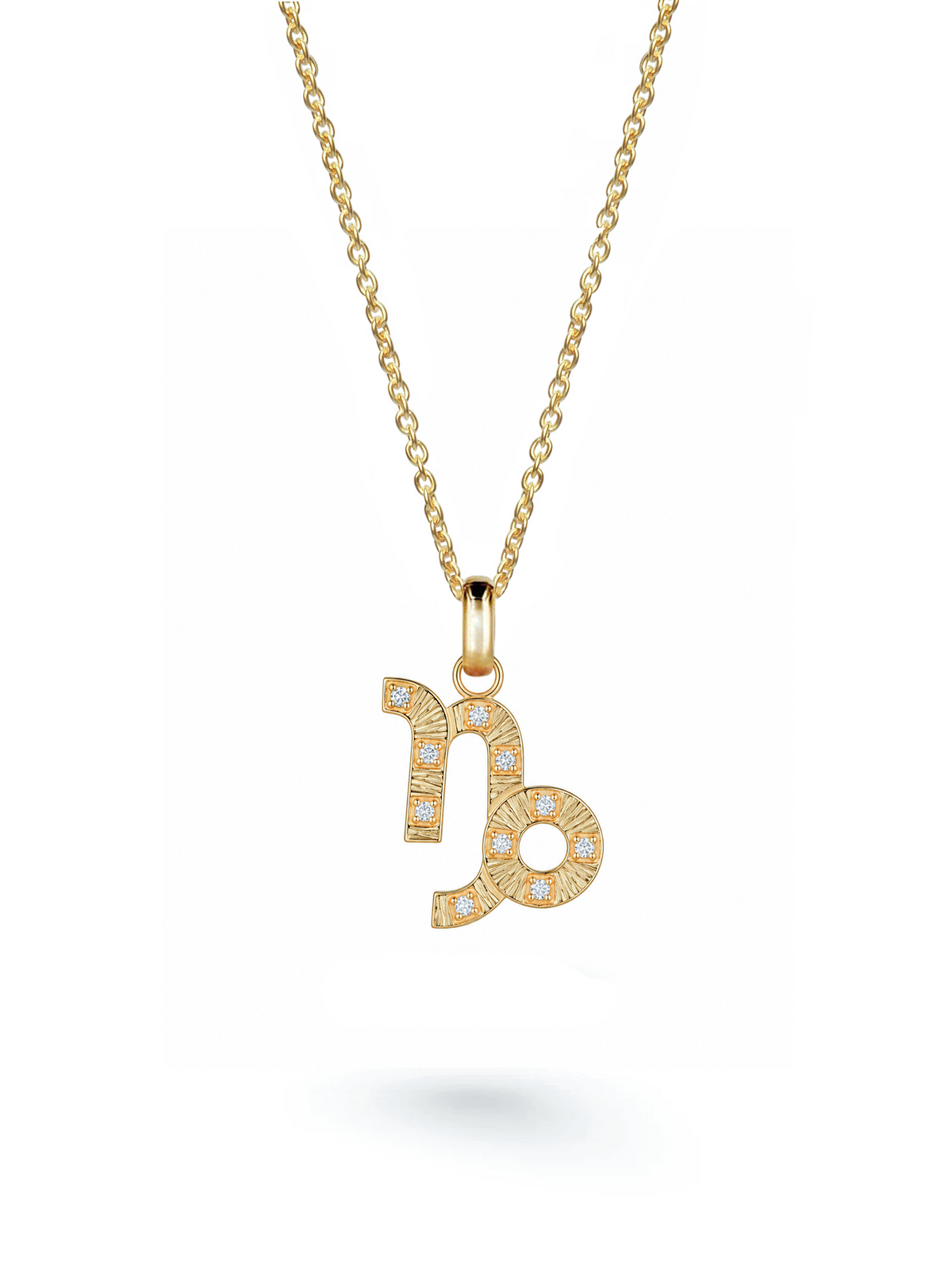 Capricorn Necklace